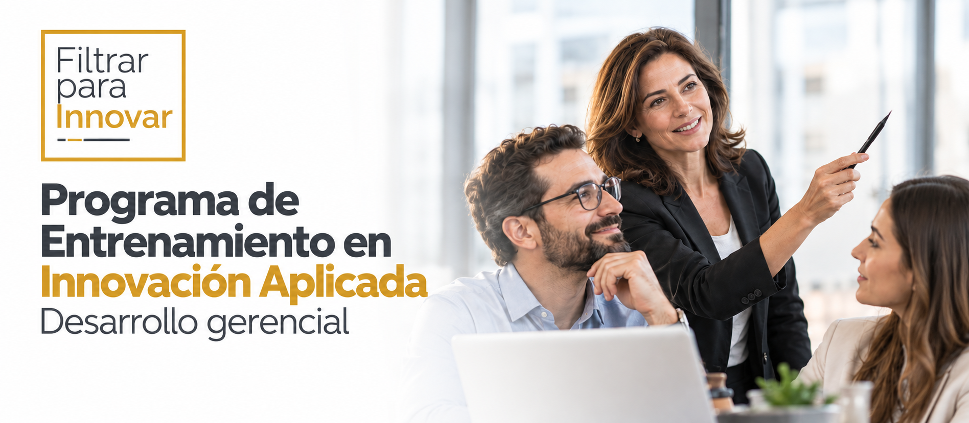 Innovacion Aplicada Desarrollo Gerencial